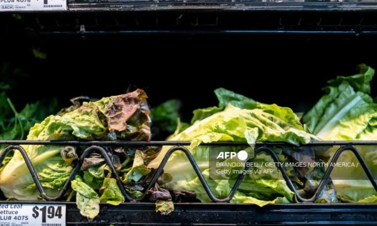 Brote de Taco Bell pone bajo revisión cadena agroalimentaria México-EU