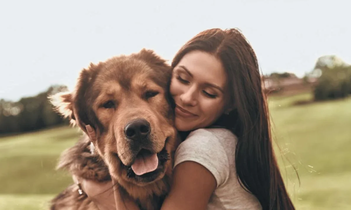 El Día Mundial del Perro busca promover la adopción responsable, combatir el abandono y reconocer la importancia de estos animales en la vida de las personas.