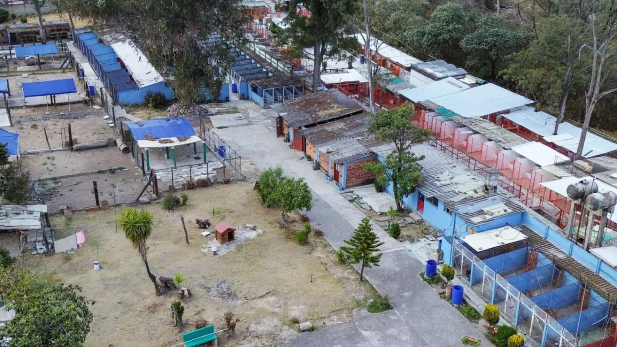 Fundación Haghenbeck ejerce violencia por predio, señala Refugio Franciscano