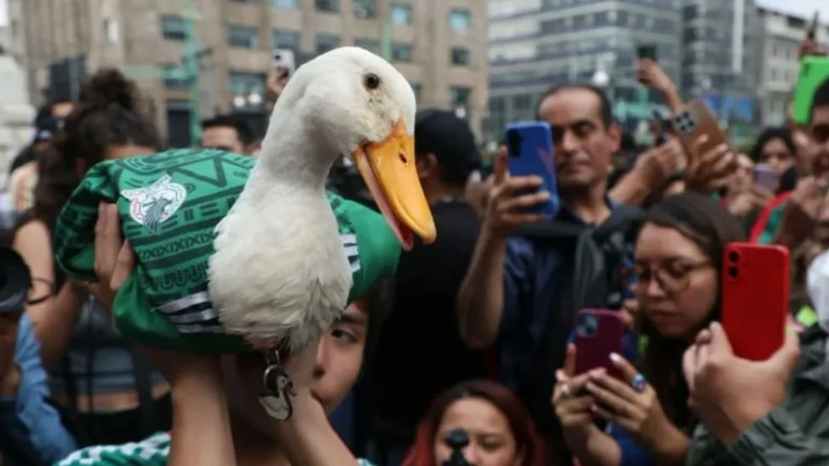 Proponen ley Merlín para proteger a animales usados en publicidad