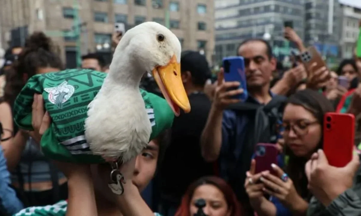 Proponen ley Merlín para proteger a animales usados en publicidad