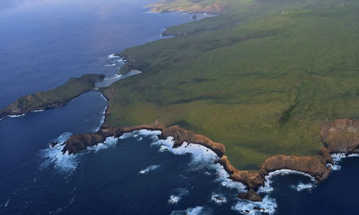 Semarnat diseña estrategia ambiental para el Parque Nacional Revillagigedo