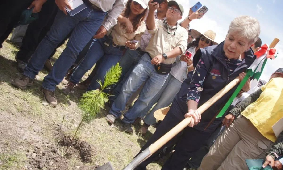 Semarnat impulsa jornada nacional de reforestación por Día del Árbol