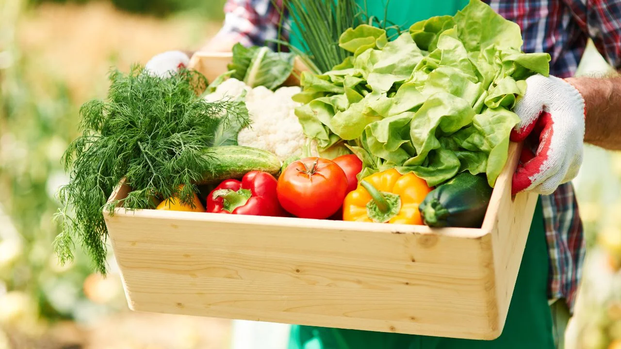 Advierten presión sobre los agroalimentos con acuerdo comercial