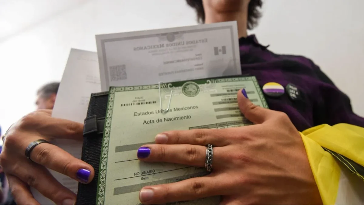 La Plataforma Nacional del Registro Civil tiene como finalidad de que las personas accedan a sus documentos, según autoridades.