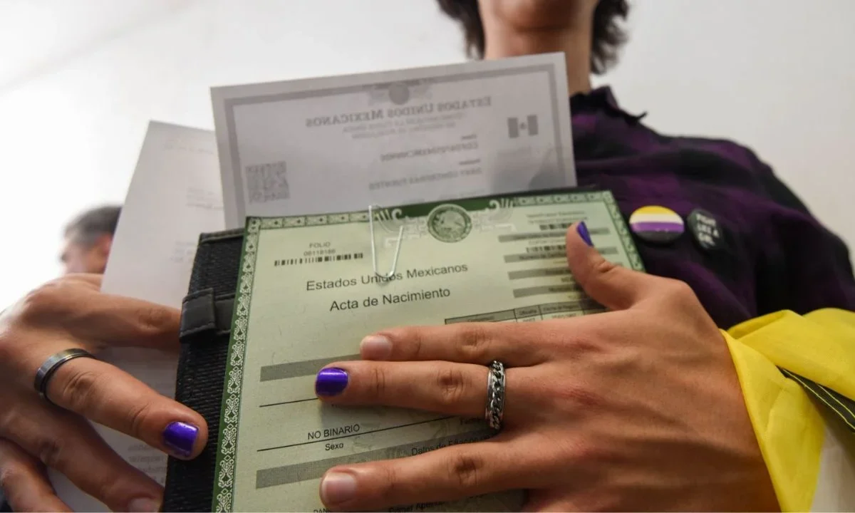 La Plataforma Nacional del Registro Civil tiene como finalidad de que las personas accedan a sus documentos, según autoridades.