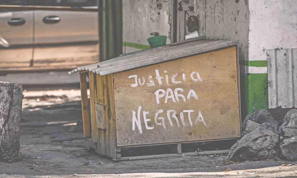 El caso de Negrita fue la pieza que abrió las investigaciones del asesinato de otros 25 perritos que presentan el mismo patrón en Xochimilco.
