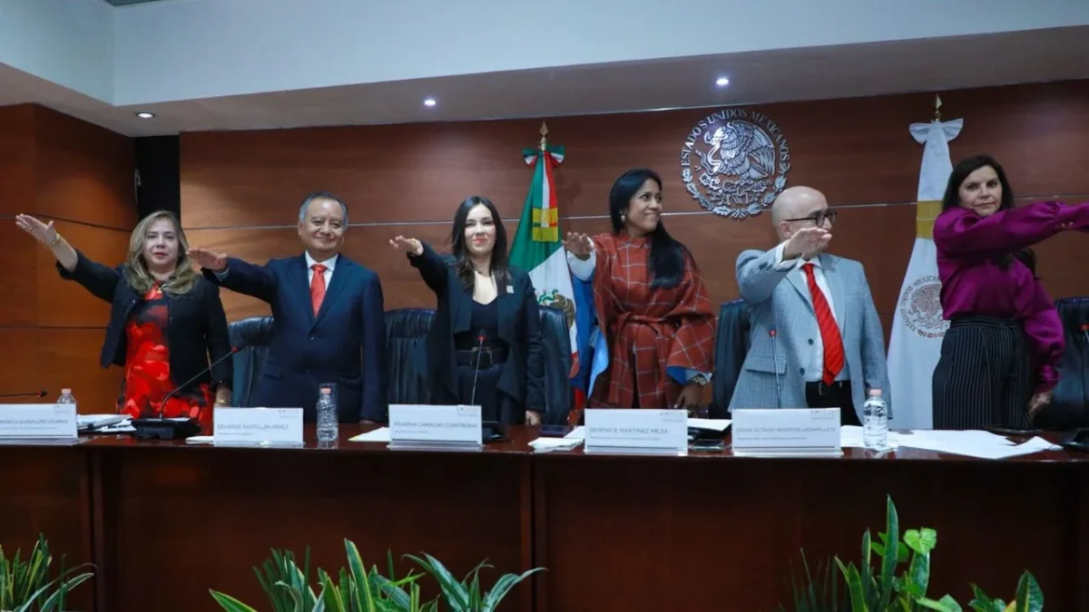 El fortalecimiento institucional busca consolidar una organización orientada a la profesionalización, capacitación y actualización permanente.