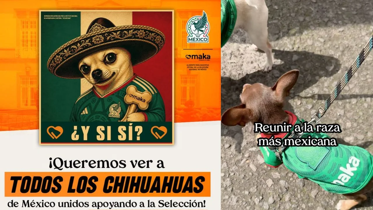 Convocan a reunión de Chihuahuas afuera de la embajada de Inglaterra previo a partido de México