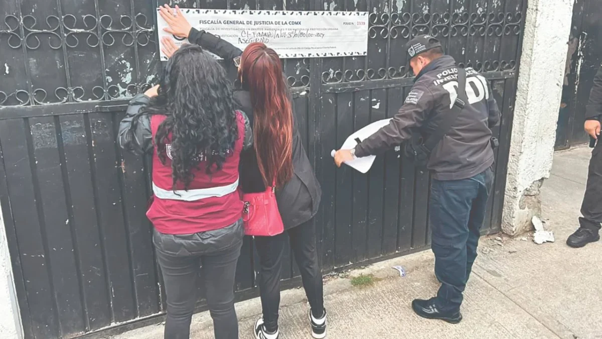 Los delitos de despojo crecen de manera alarmante en México, donde organizaciones y víctimas calculan cerca de un millón de casos acumulados.
