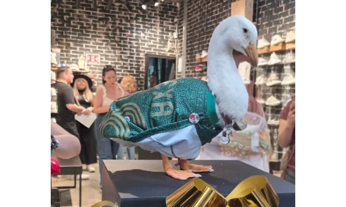 Panam apuesta por la nostalgia con una colección de tenis inspirada en el Pato Merlín