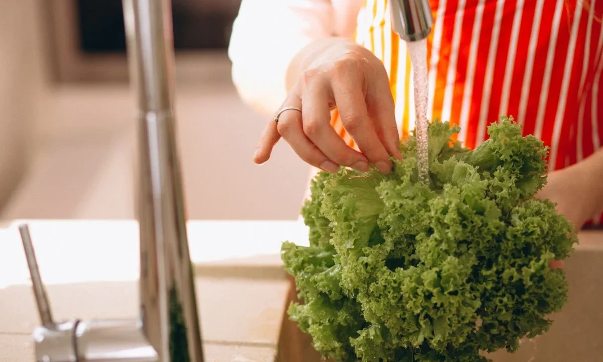 Expertos en inocuidad alimentaria y autoridades sanitarias recomiendan medidas para desinfectar lechugas y otros alimentos. Conócelas.