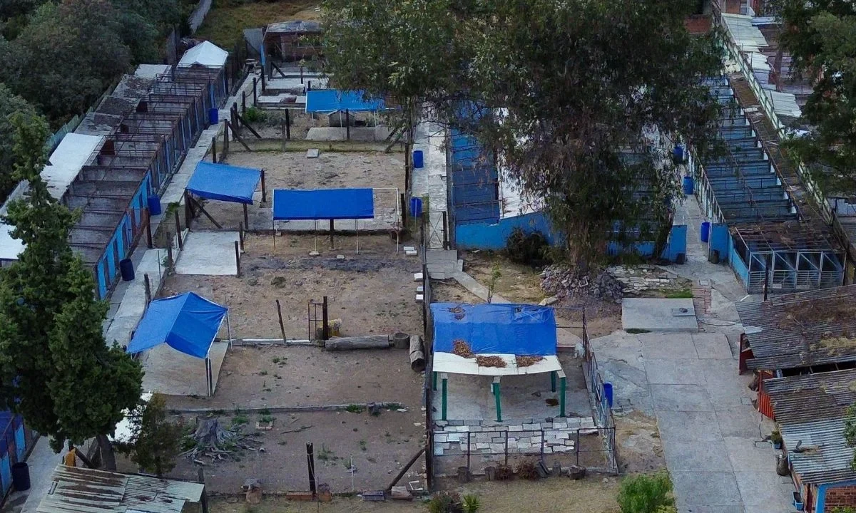 La Fundación Haghenbeck sostiene que la disputa legal por el predio en Cuajimalpa quedó concluida a su favor y cuestionó la manifestación convocada por el Refugio Franciscano