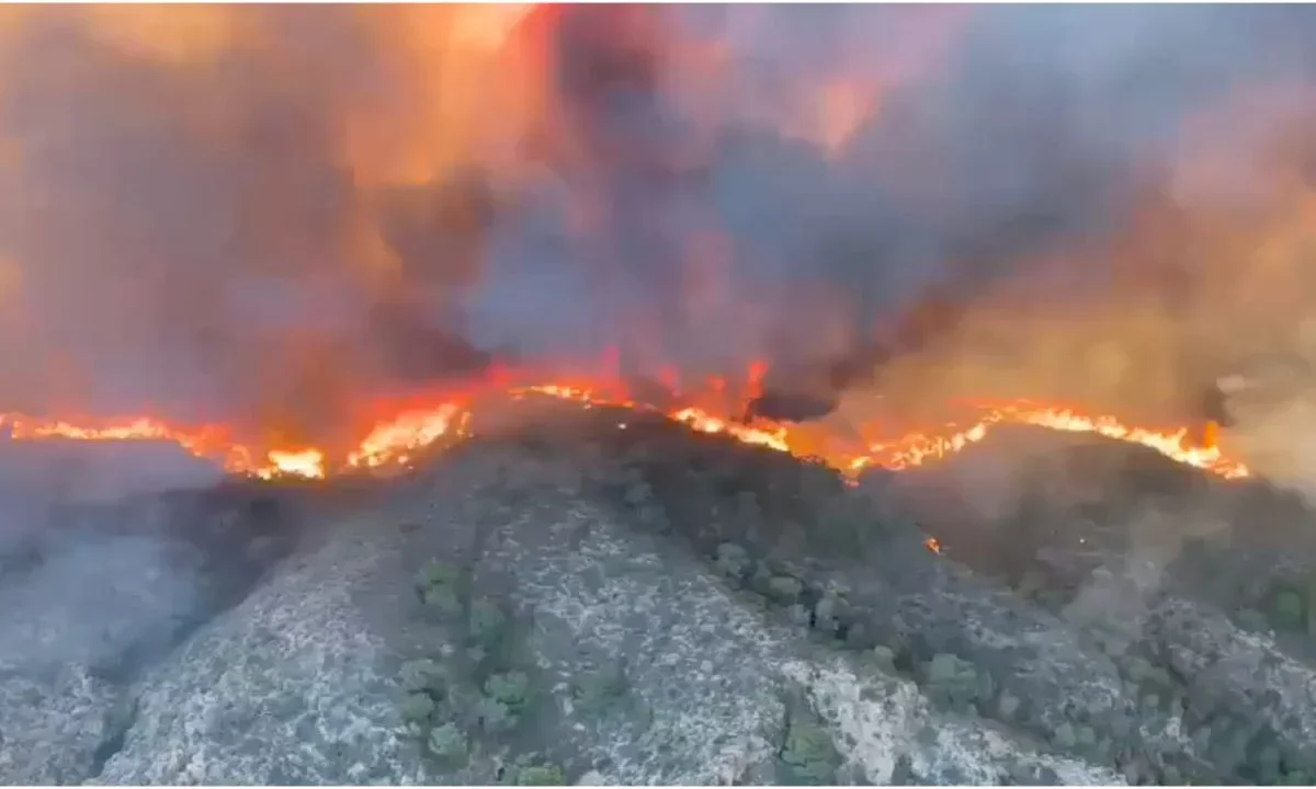 Mientras la ola de calor afecta Europa, un incendio forestal en Almería, España, provocó la muerte de 12 personas, informaron autoridades.