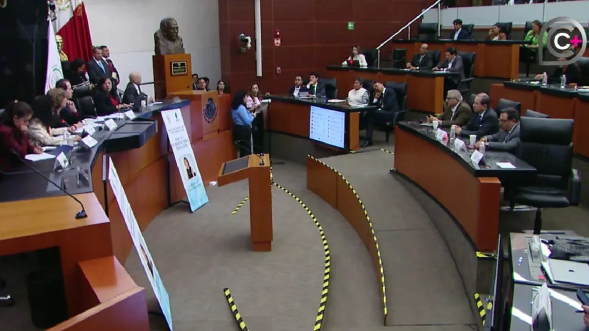 Este miércoles 1 de julio, se llevó a cabo la primera reunión bicameral de las comisiones de Ciencia, Tecnología e Innovación.