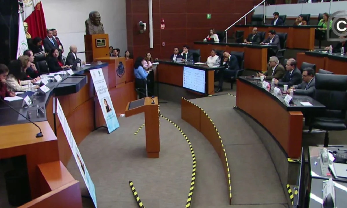 Este miércoles 1 de julio, se llevó a cabo la primera reunión bicameral de las comisiones de Ciencia, Tecnología e Innovación.