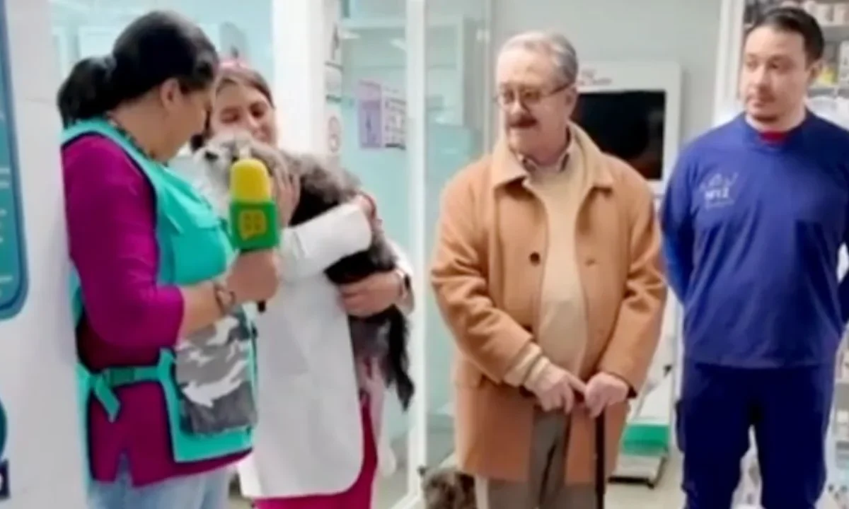 Pedro Sola visitó una fundación que apoya a animales abandonados o en situación de calle y consideró la experiencia como algo 'muy peculiar'.