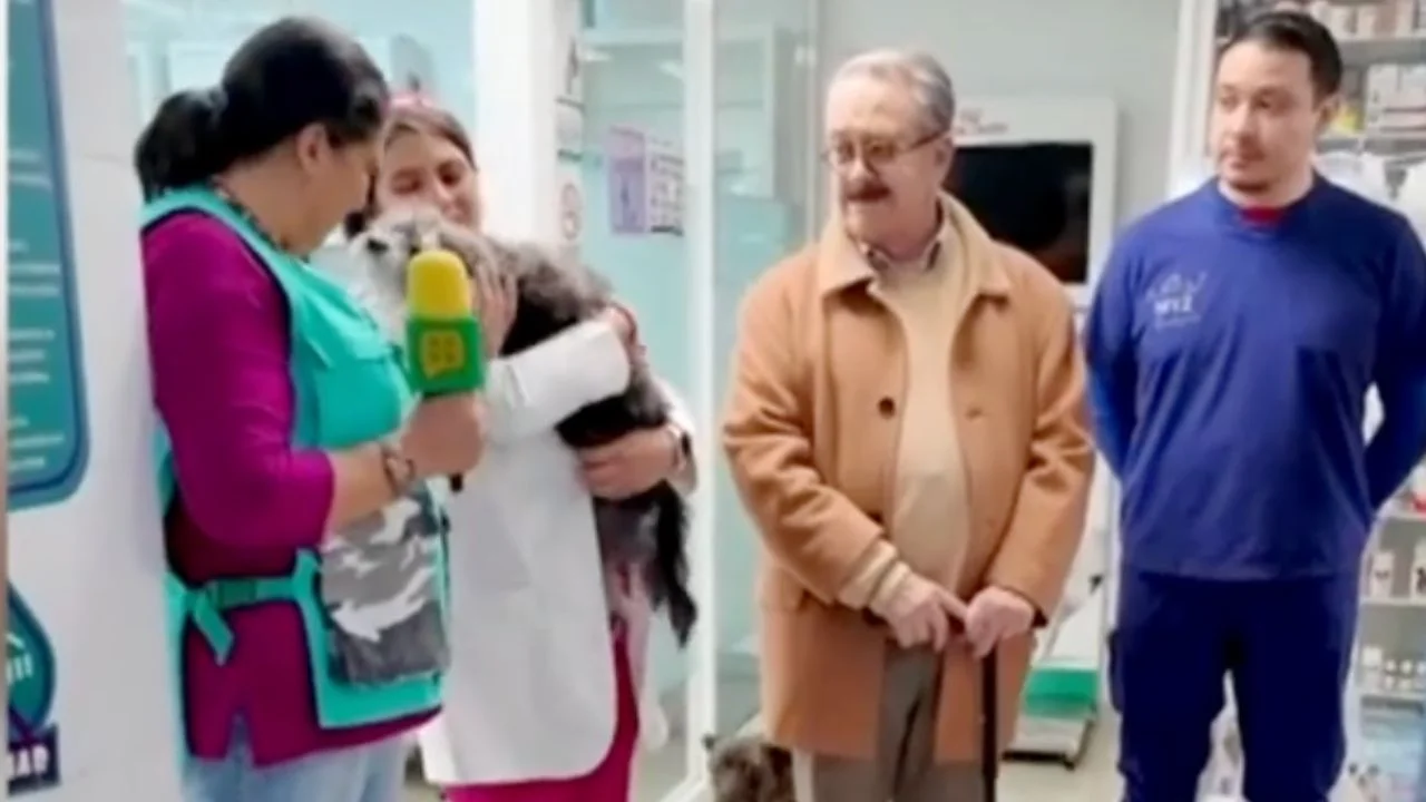 No se me acercan ¿no sé por qué?: Pedro Sola visitó por primera vez un refugio animal