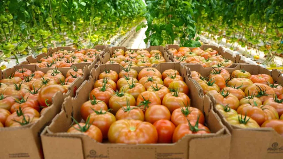 ProAgroInnovación realizará un encuentro en el que se busca herramientas para mejorar las actividades en el campo.