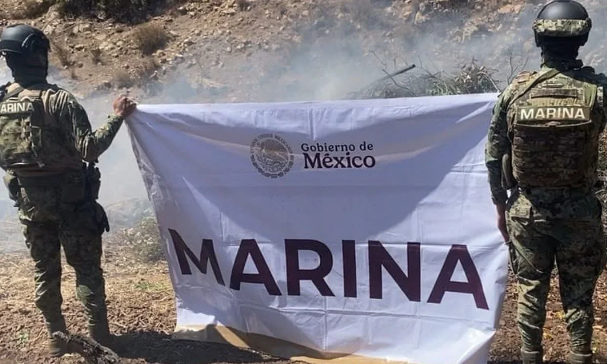 Elementos de la Secretaría de Marina erradicaron e incineraron dos plantíos de marihuana al sur de Tijuana, Baja California, durante un operativo contra la producción de narcóticos