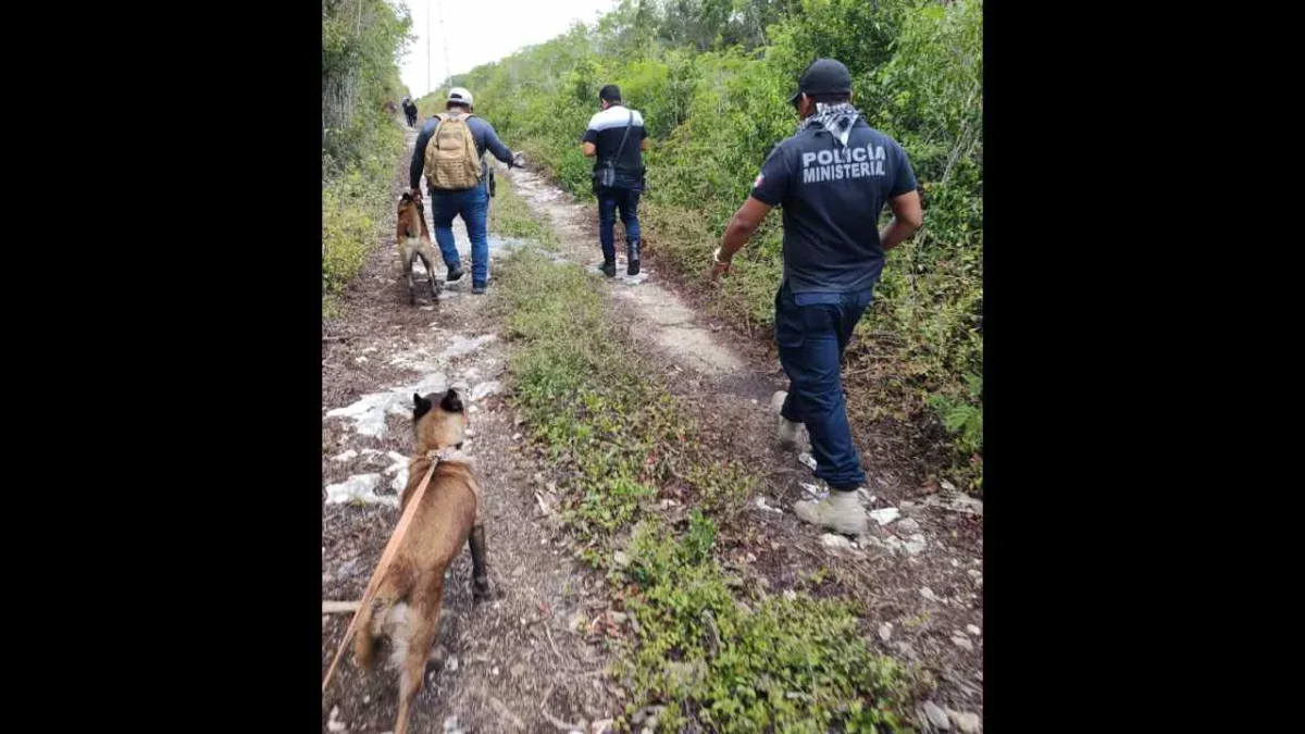 La Comisión de Búsqueda de Quintana Roo mantiene las investigaciones para localizar a 17 extranjeros reportados como desaparecidos.