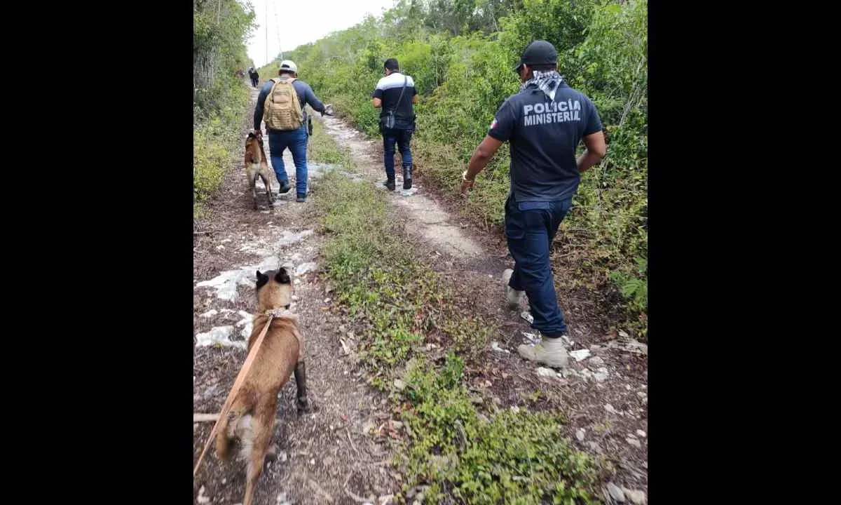 La Comisión de Búsqueda de Quintana Roo mantiene las investigaciones para localizar a 17 extranjeros reportados como desaparecidos.