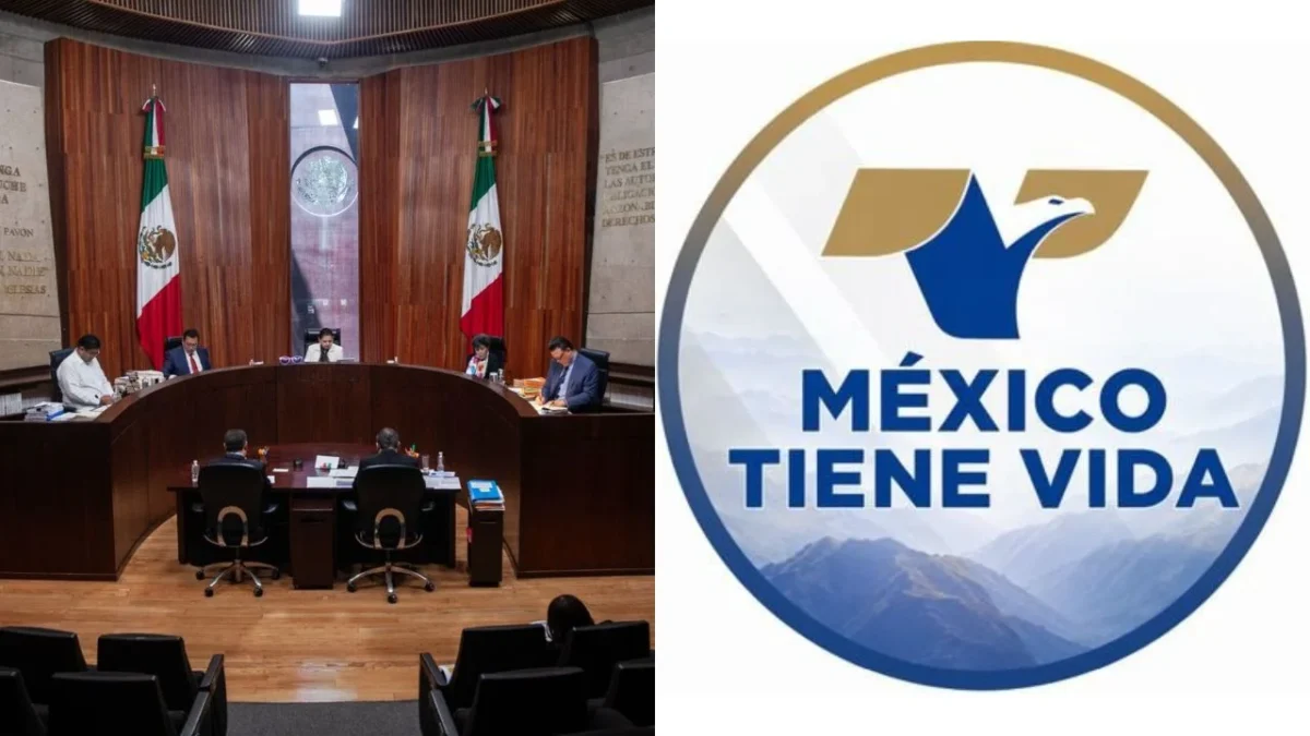 El TEPJF confirmó la resolución emitida por el INE, mediante la cual sancionó a México Tiene Vida por simulación de afiliaciones.