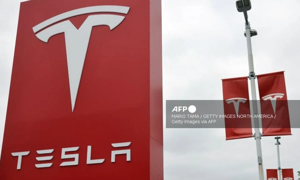 Tesla reportó una caída cercana al 5% en sus utilidades, afectada principalmente por la reducción en los precios de venta de sus vehículos.