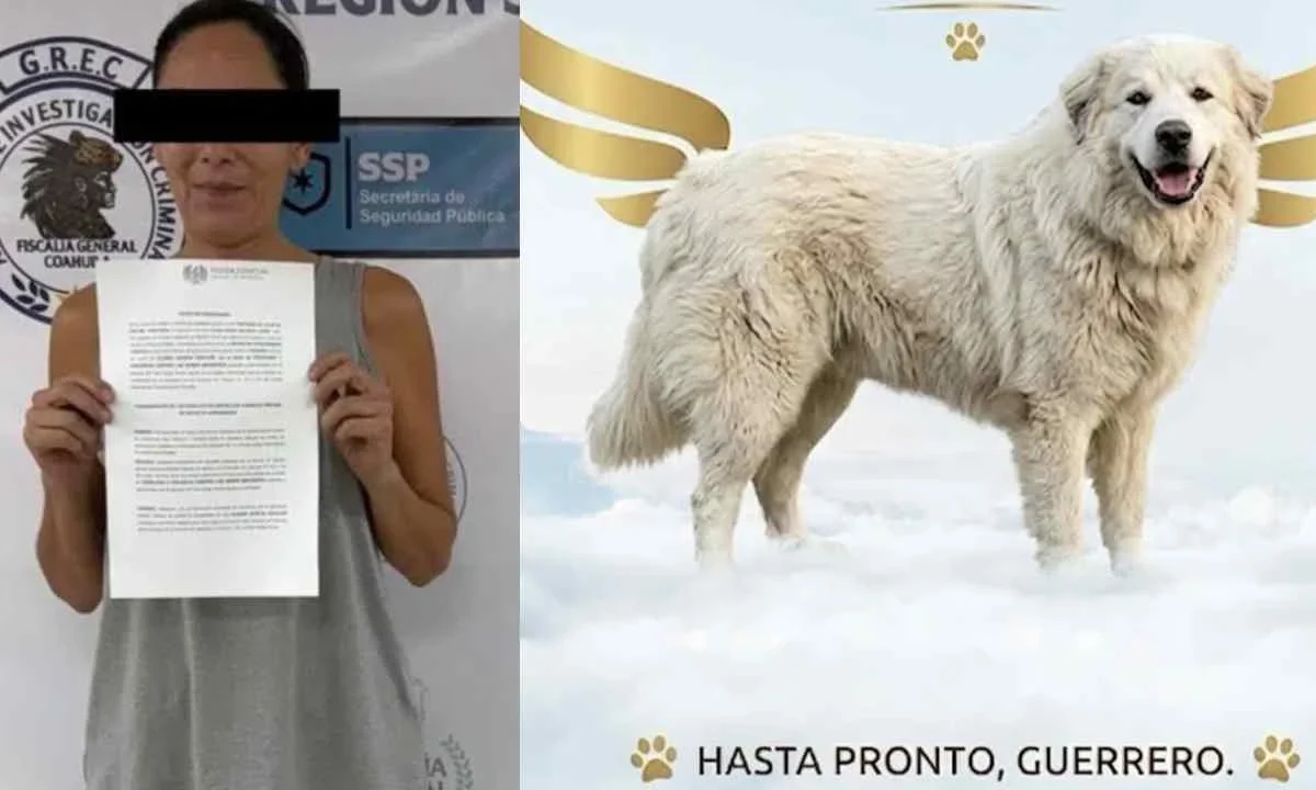 Vinculan a proceso a Liliana 'N', la presunta responsable de arrastrar al perrito 'Rocky' en calles de Saltillo.
