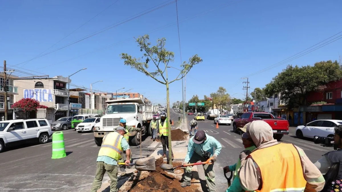 CDMX va por reverdecimiento de zona urbana con un millón de árboles