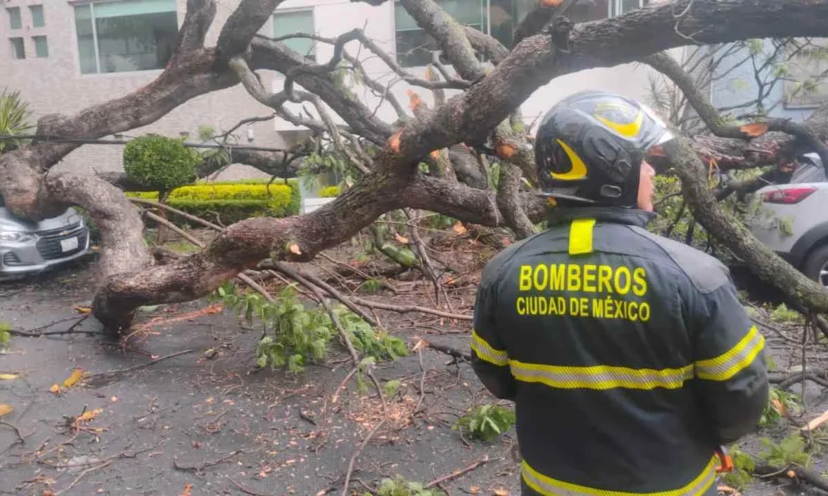 La SGIRPC activa la Alerta Naranja por vientos fuertes en 6 alcaldías de la CDMX.