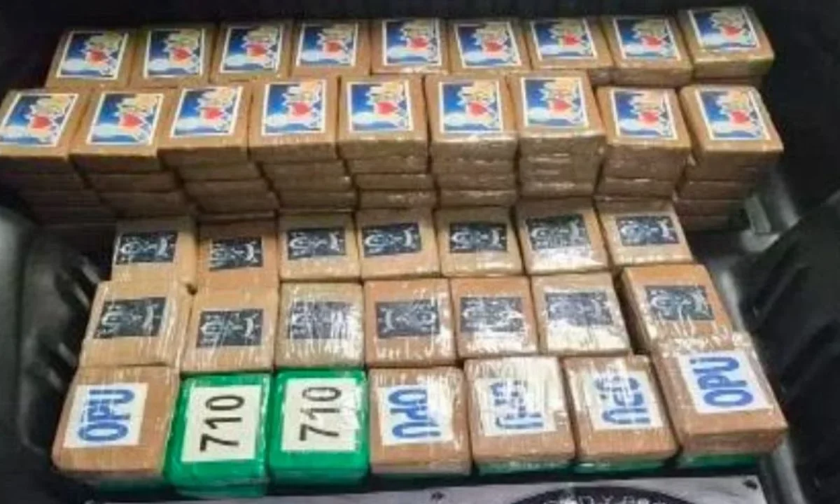 Hallan 217 kilos de cocaína en compartimento oculto de un vehículo en Tlalpan