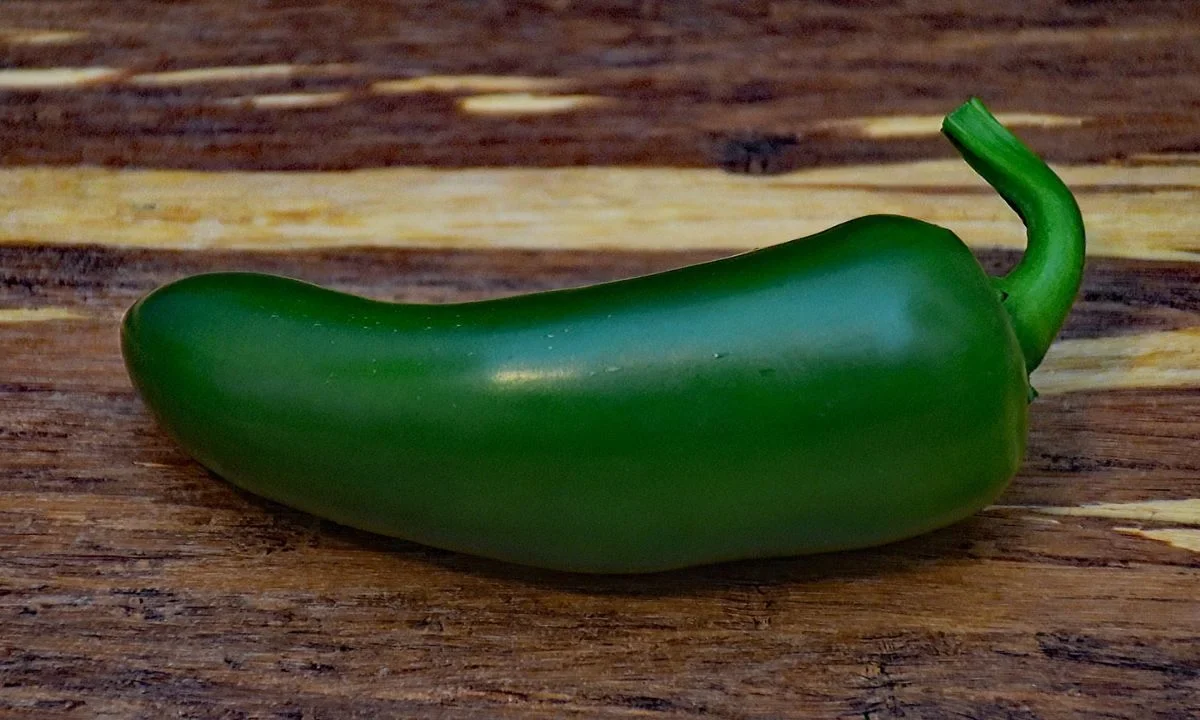 Cofepris concluyó la investigación sanitaria a una unidad de empaque de chile jalapeño de Nuevo León, sin detectar presencia de salmonella.