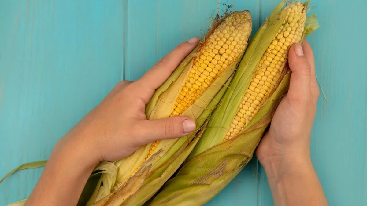Conoce cuáles son los beneficios de la Dieta de la Milpa y qué alimentos de ella puedes incluir en tu día a día para mejorar tu salud.