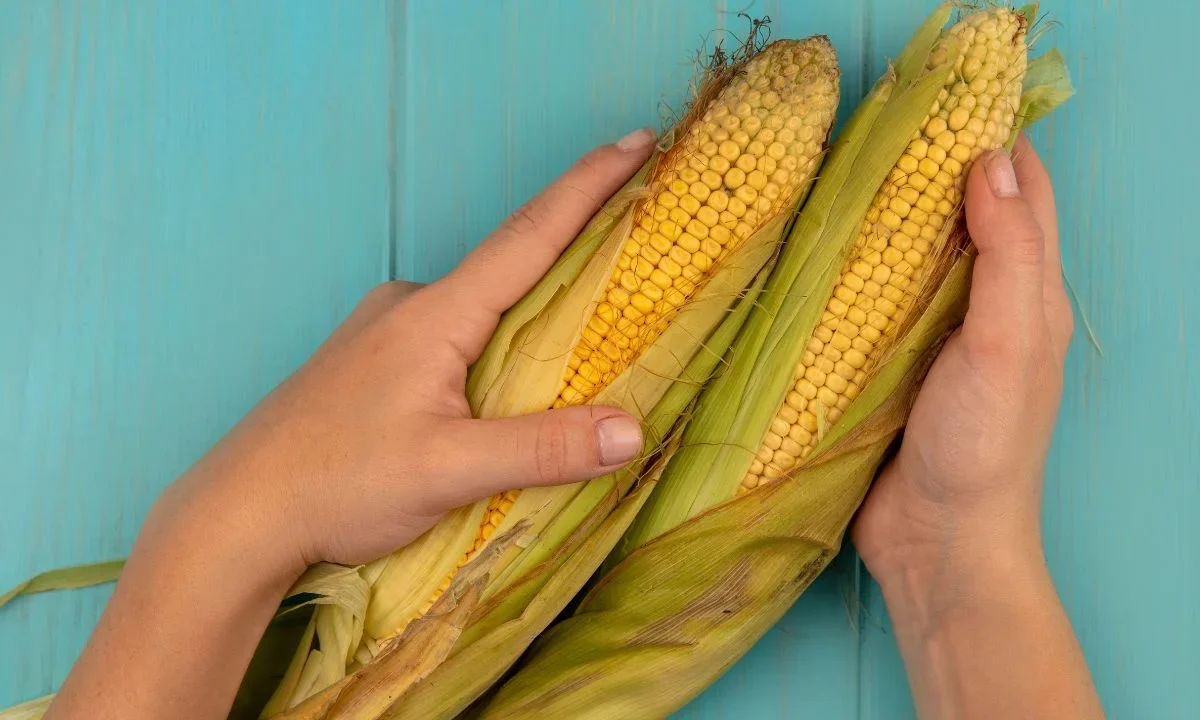 Conoce cuáles son los beneficios de la Dieta de la Milpa y qué alimentos de ella puedes incluir en tu día a día para mejorar tu salud.
