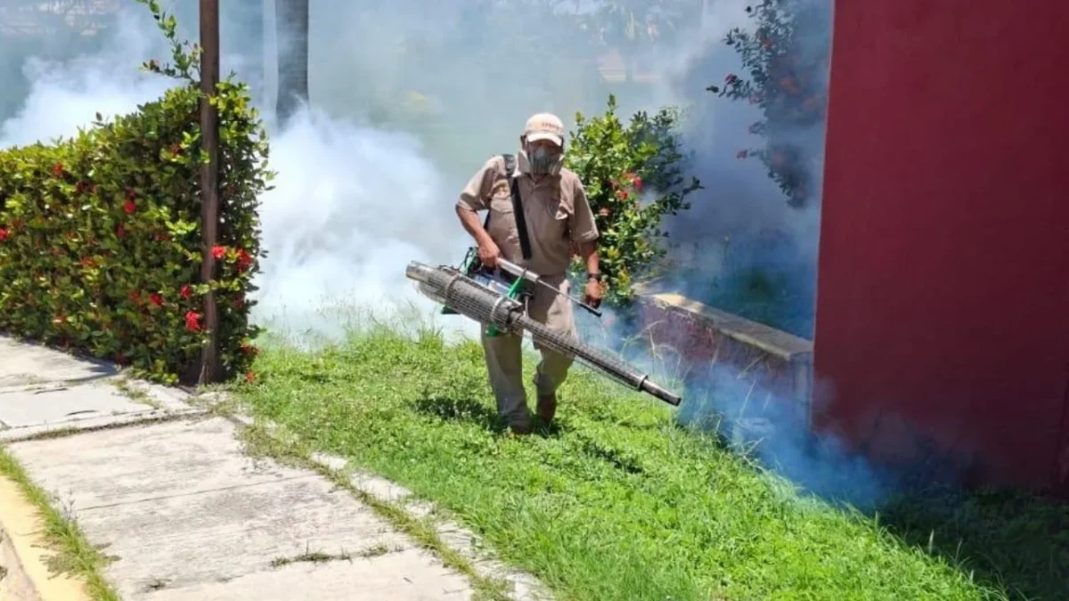 Se realiza el control larvario, nebulización espacial, rociado domiciliario y revisión deovitrampas en todo el estado de Campeche.