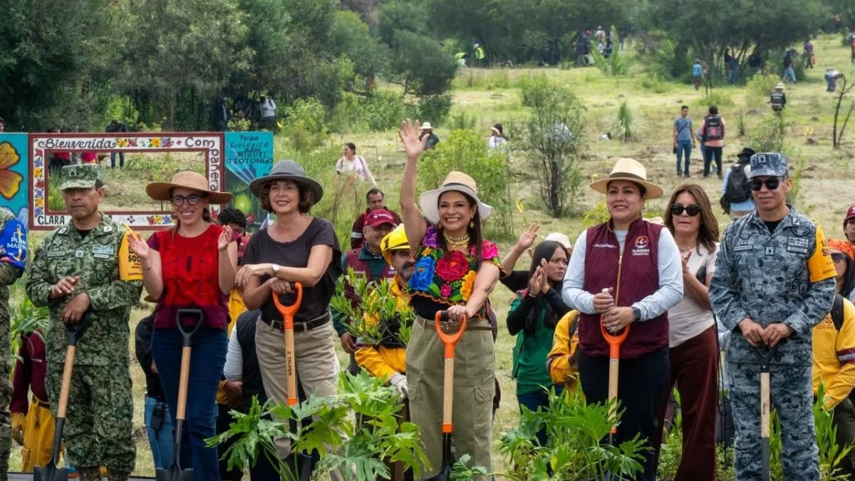 La Ciudad de México se sumó a la Jornada Nacional de Reforestación con la plantación de 35 mil árboles en distintos puntos de la capital.