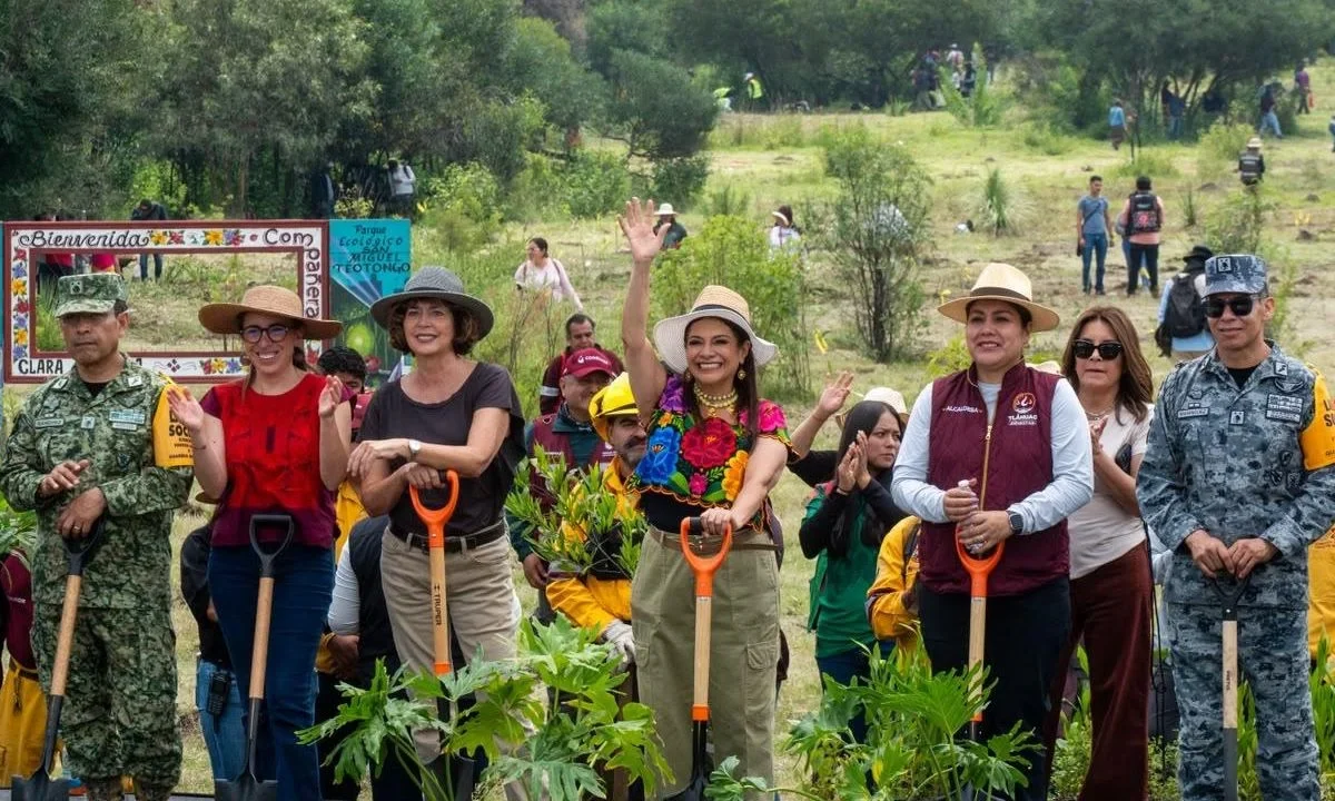 La Ciudad de México se sumó a la Jornada Nacional de Reforestación con la plantación de 35 mil árboles en distintos puntos de la capital.