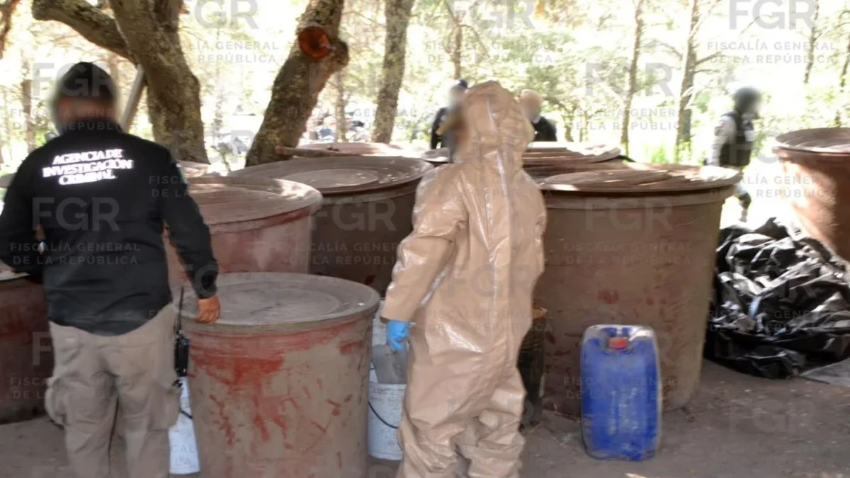 EU sancionó a una red marítima de Ecuador señalada por movilizar cocaína hacia México.