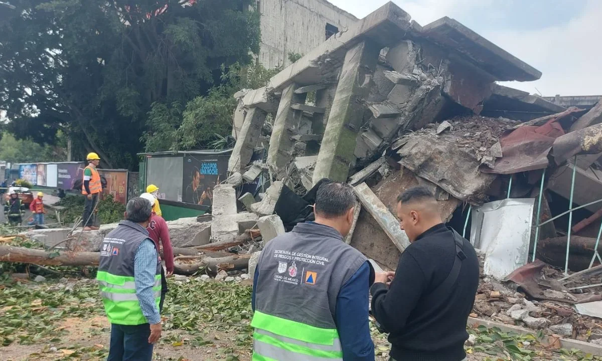 La caída de un árbol sobre la lateral de Viaducto Miguel Alemán y Nebraska provocó daños a la estructura del inmueble provocando el colapso.