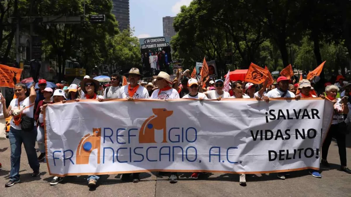 Aquí te decimos cuáles son las marchas, rodadas y concentraciones que están previstas para este sábado en la CDMX.