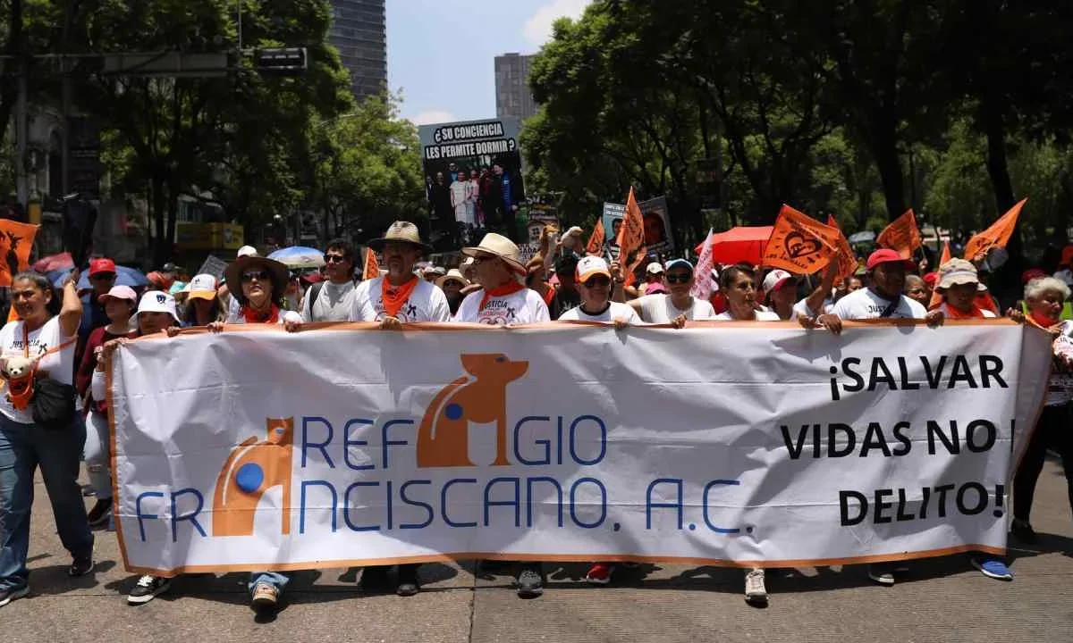 Aquí te decimos cuáles son las marchas, rodadas y concentraciones que están previstas para este sábado en la CDMX.