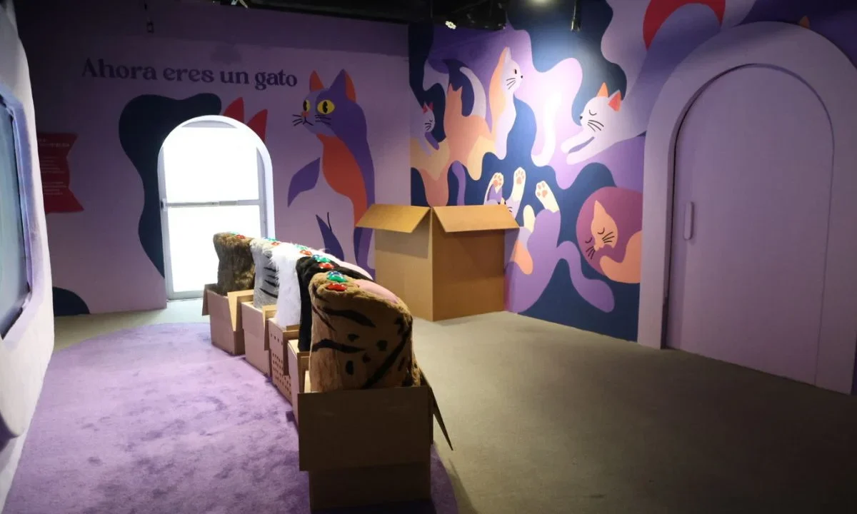 Esther y Marco crearon el Museo del Gato, la experiencia para que las personas conecten y conozcan más sobre estos pequeños cazadores.