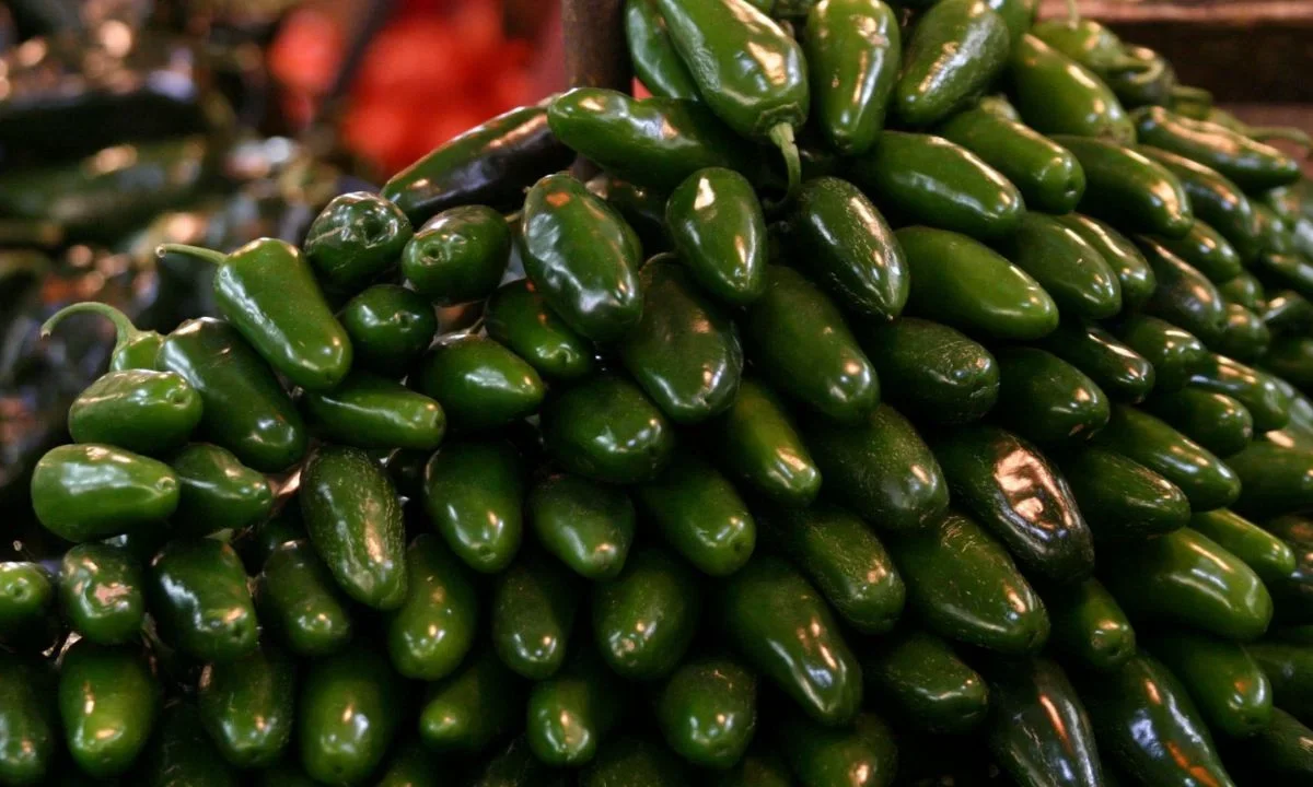 La Cofepris visitó una empacadora de chiles jalapeños en Nuevo León, indaga si es la fuente de brote de salmonelosis en EU.