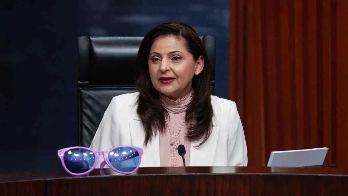 Tras la renuncia de Mónica Soto como magistrada electoral, senadoras chocaron ante la decisión de la magistrada.