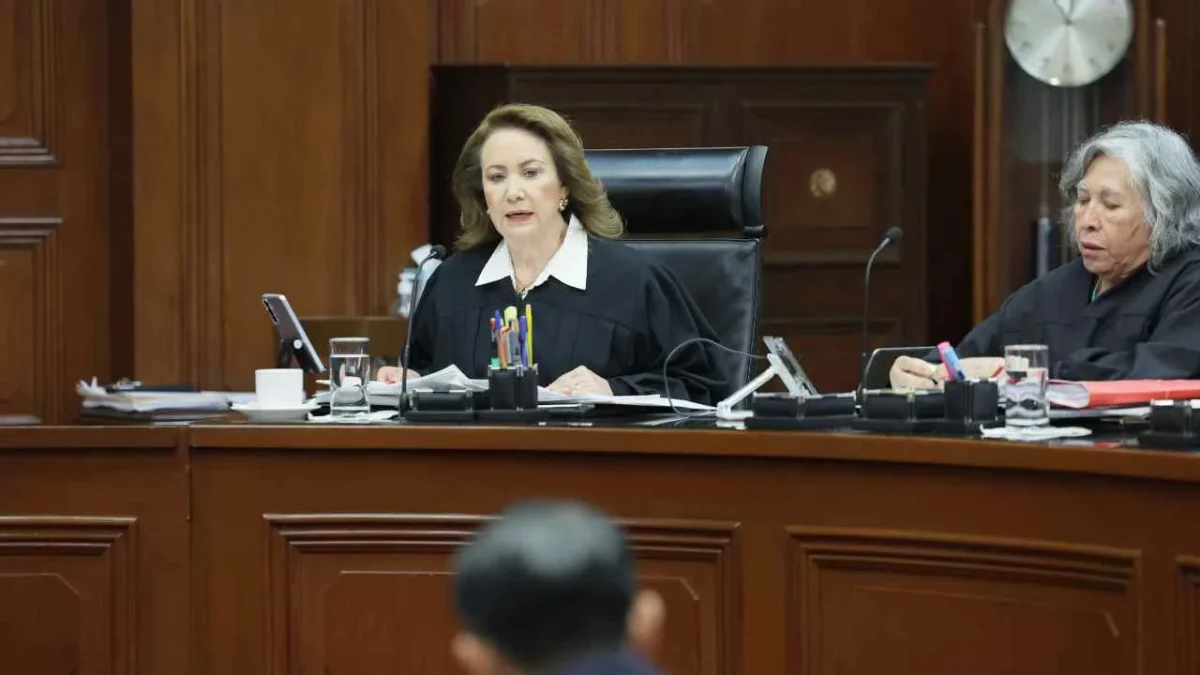Yasmín Esquivel dijo que solo las personas con discapacidad pueden determinar si medidas legislativas son adecuadas.