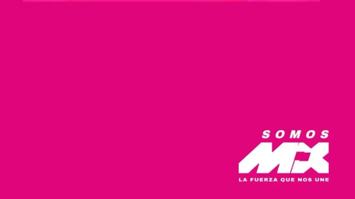 El partido Somos México argumentó que la decisión del TEPJF atenta contra la certeza jurídica y la equidad en la contienda electoral.