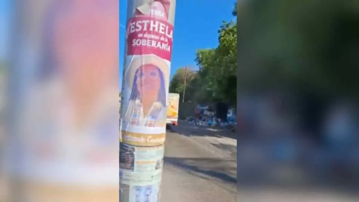 Acapulco. Denunciaron que la morenista Emma Mora cubre las fichas de desaparecidos con sus calcomanías.