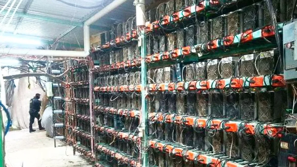 Aseguran granja de criptomonedas en Puebla
