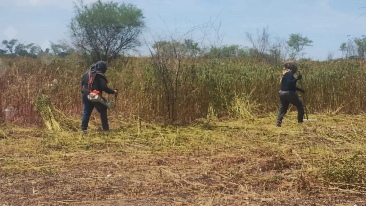 Hallan otros 150 restos óseos en presunto predio de exterminio de Acapulco